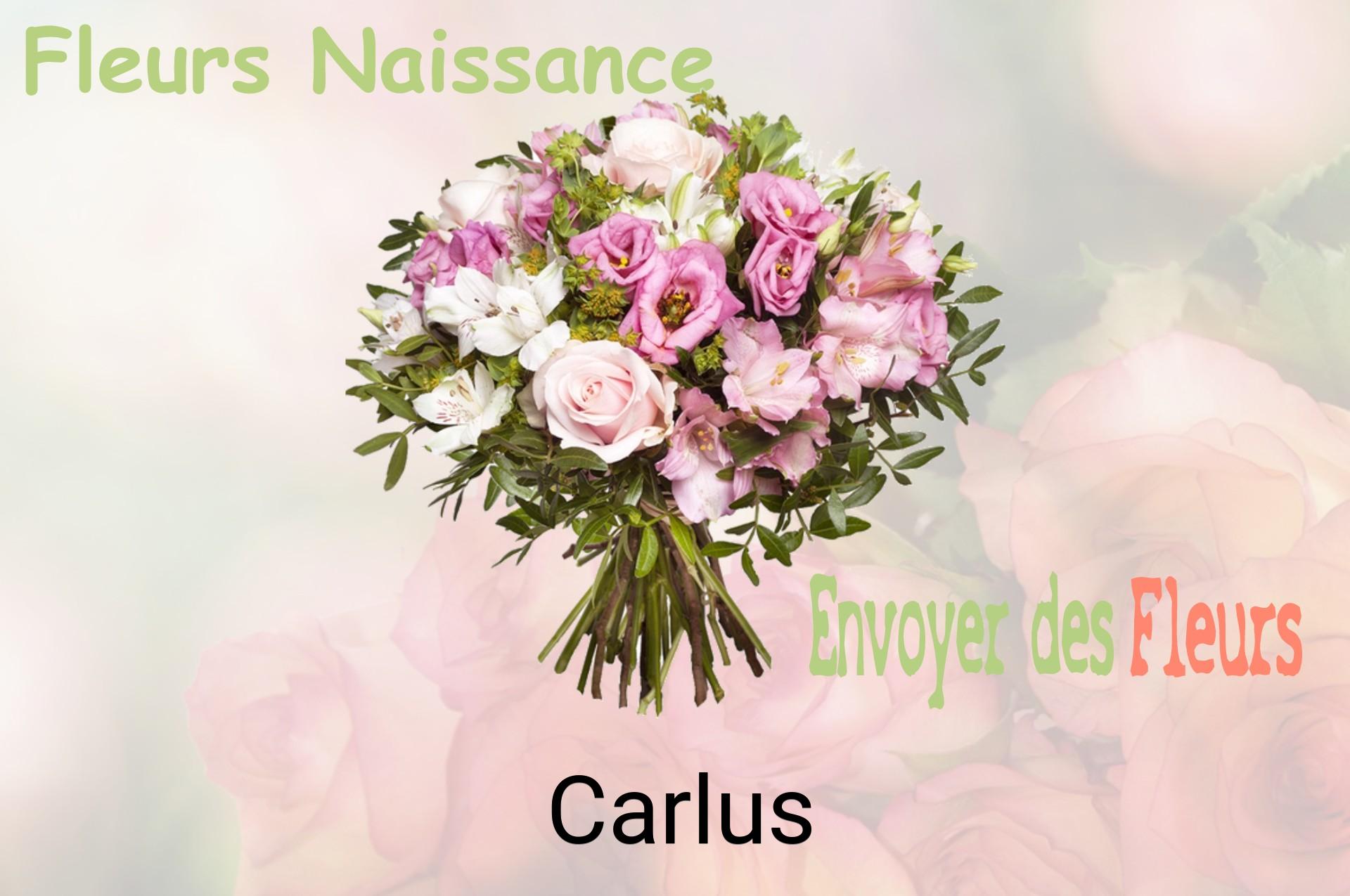Bouquet de fleurs de naissance livré à Carlus