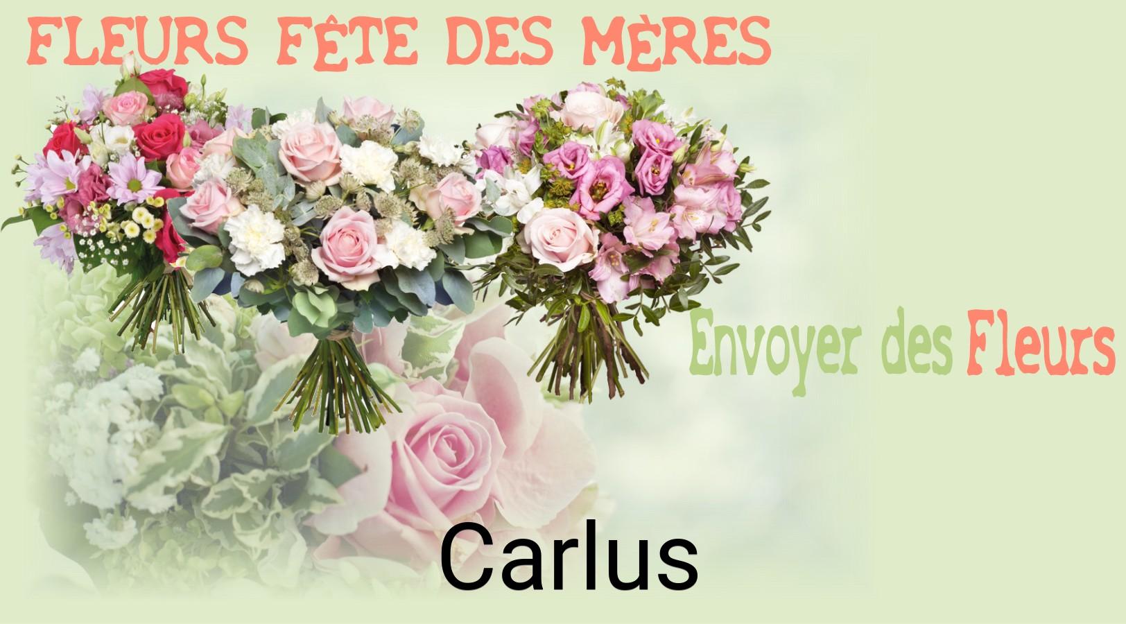 Bouquet de Fête des Mères livré à Carlus